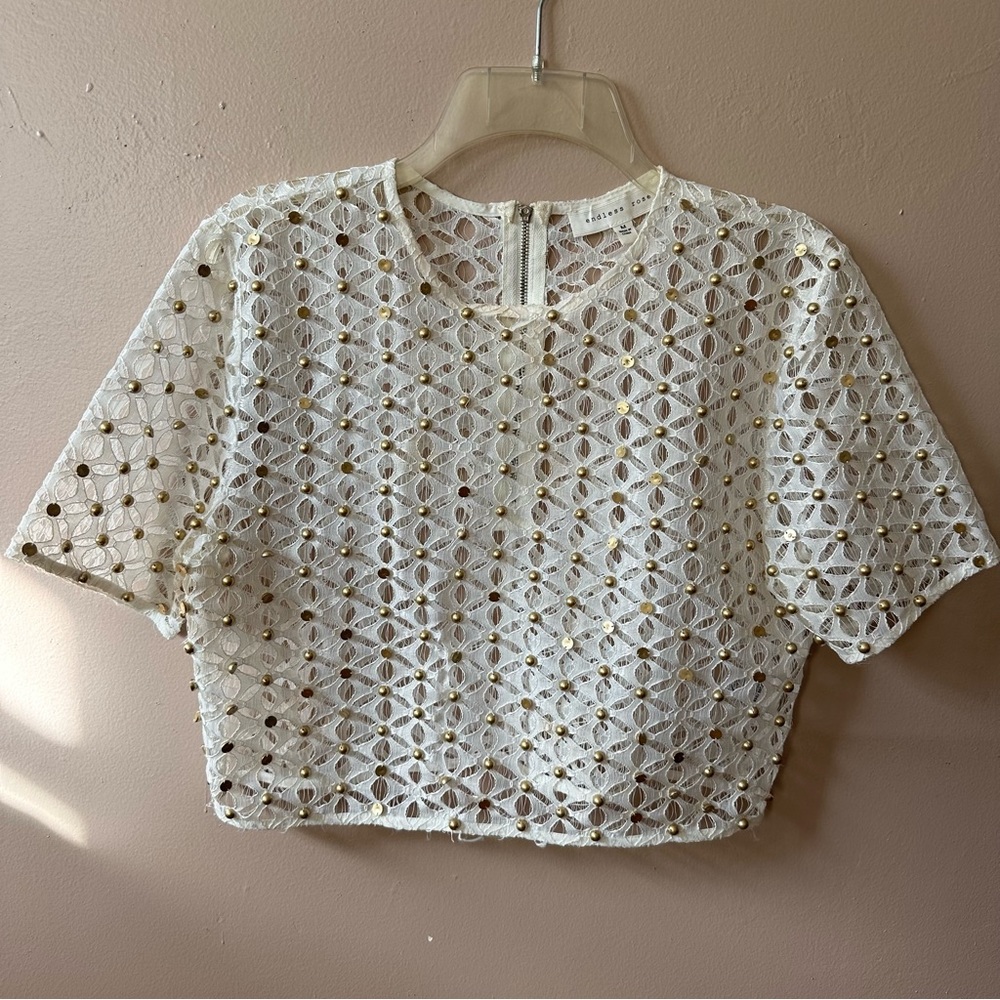 Endless Rose Lace Crop Top Blouse
